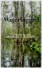 [The Valkwitch Saga] 01] • Waterlogged